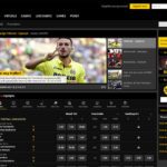 BWIN Sportsbook Site Betting Interface