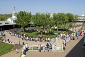 The Preakness Stakes Paddock