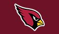 Arizona Cardinals 2019 NFL Season Preview and Prediction