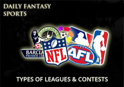 Daily Fantasy Sports Types