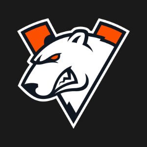 Team Virtus Pro Logo