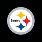 Bet on the steelers