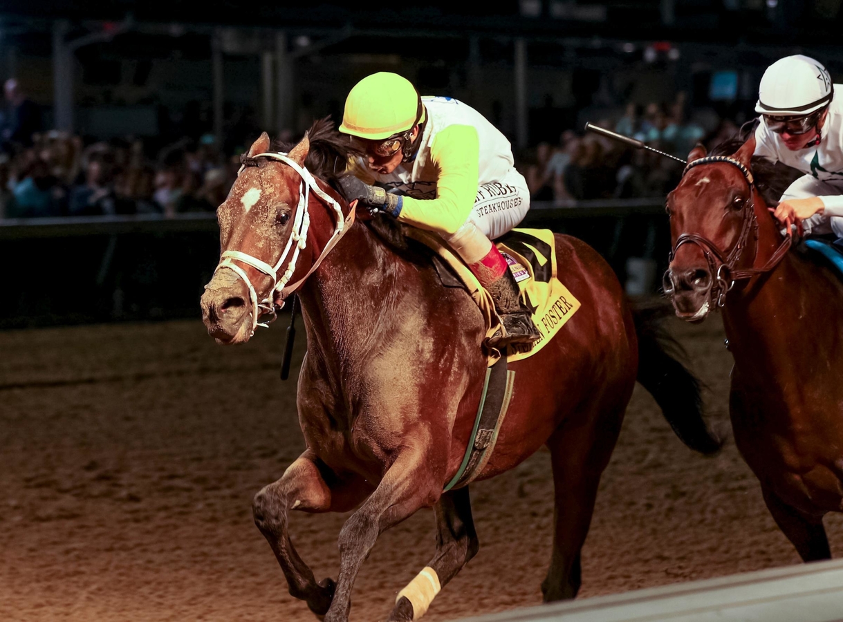 Pacific Classic Horse Race - 2019 Expert Preview & Betting Odds