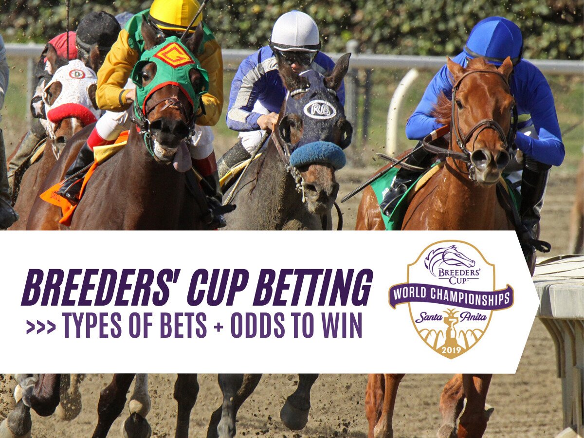 Breeders' Cup Betting Guide 2024 Odds, Markets & Expert Betting Tips