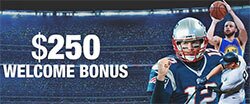 Bonus With Low Rollover At Bovada