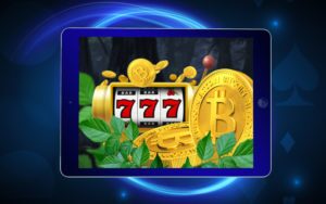 Wild Casino Crypto Bonus