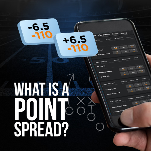NFL Point Spread Strategy How to Bet On NFL Football Spreads