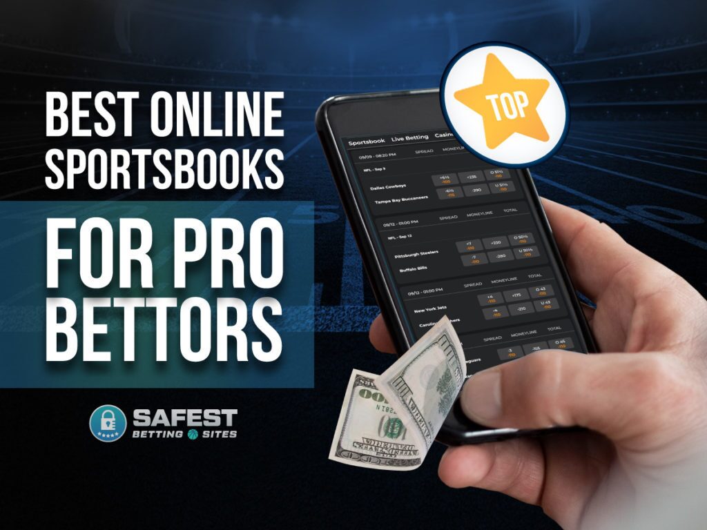 Best Online Sportsbooks for Pro Bettors Honest Reviews [2024 ]