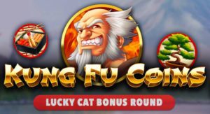 Kung Fu Coins - Slot Game On Wild Casino