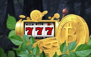 Promo code for Wild Casino crypto bonus