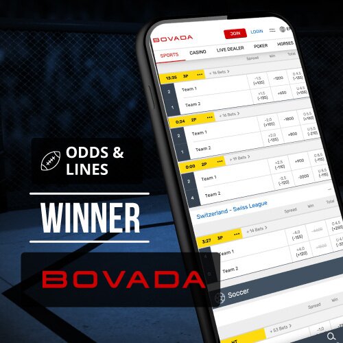 BetUS vs Bovada Which Betting Site Is Better In 2024?