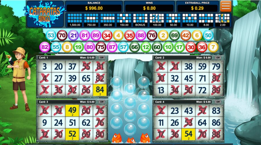 Cataratas BIngo Layout