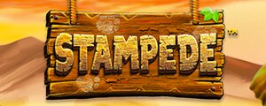 Stampede slot