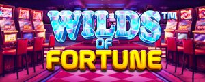 Wilds of fortune slot