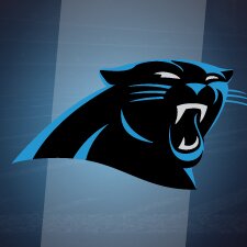 Carolina Panthers