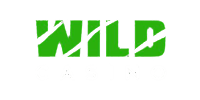 Wild Casino