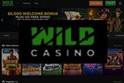 Wild Casino Logo